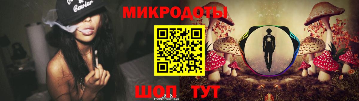 Сунжа  Псилоцибиновые грибы Psilocybine cubensis  Вход с VPN 